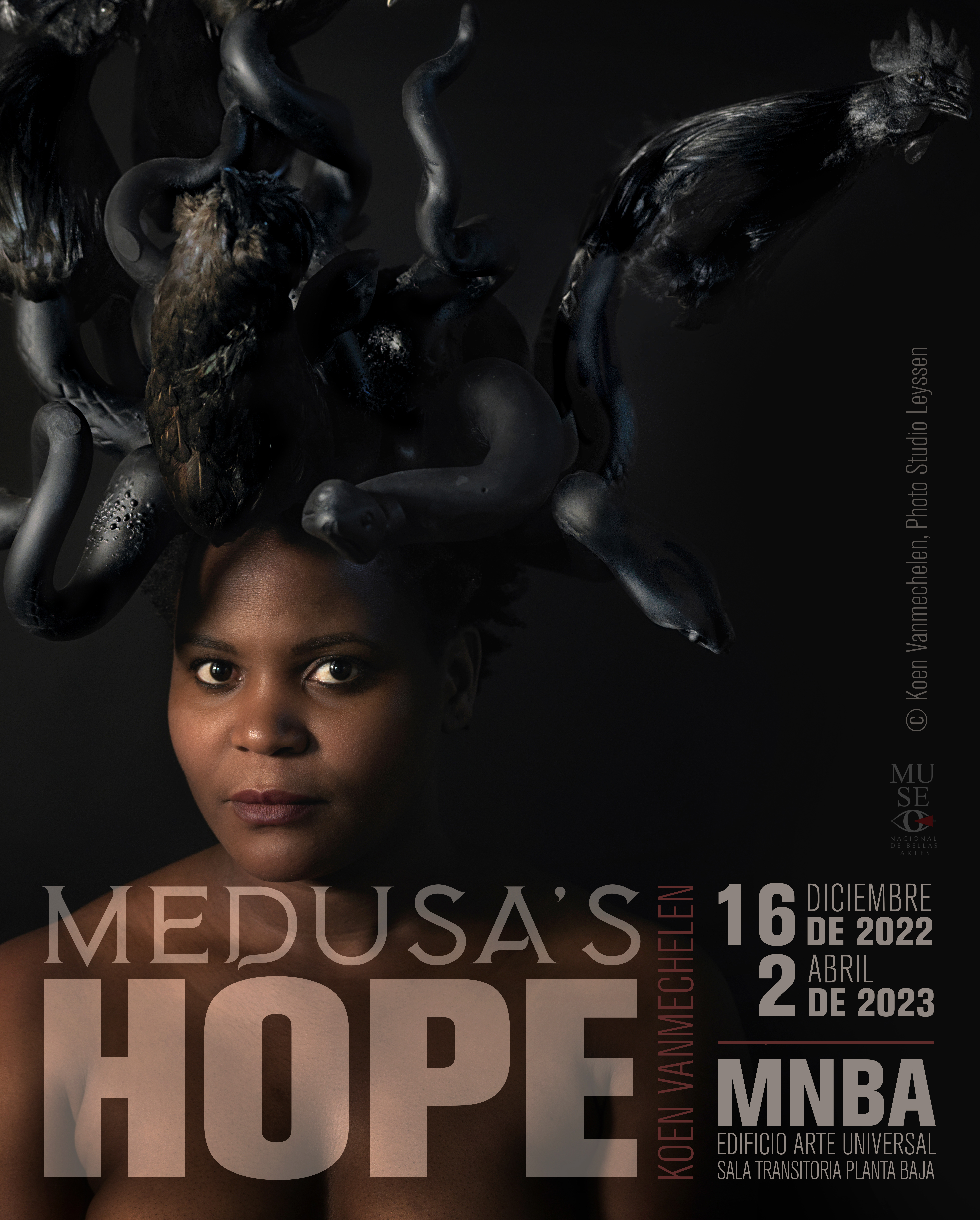 Medusa's Hope © Koen Vanmechelen