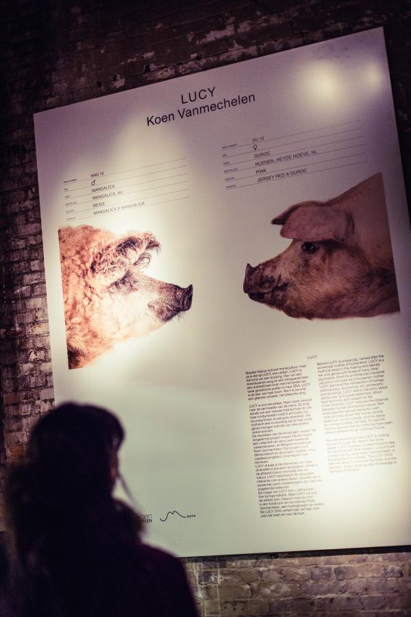 LUCY BOAR, MEATPACK, Antwerpen (BE) © Koen Vanmechelen, 2017