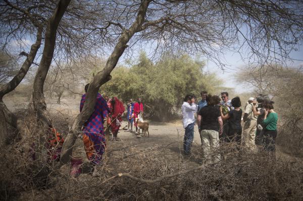 Masai, Sotwa, Arena de Evolucion © Koen Vanmechelen, photo Eliza Deacon, 2014