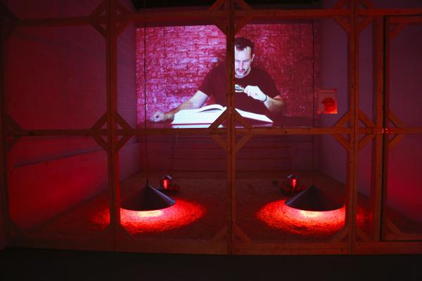 Decode, video installation, ENERGY/MASS, Detroit (US), 2016 © Koen Vanmechelen, photo Stoffel Hias