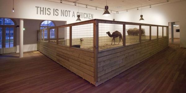 THIS IS NOT A CHICKEN Het Domein, Sittard (NL) © Koen Vanmechelen Expo, THIS IS NOT A CHICKEN Het Domein, Sittard (NL) © Koen Vanmechelen