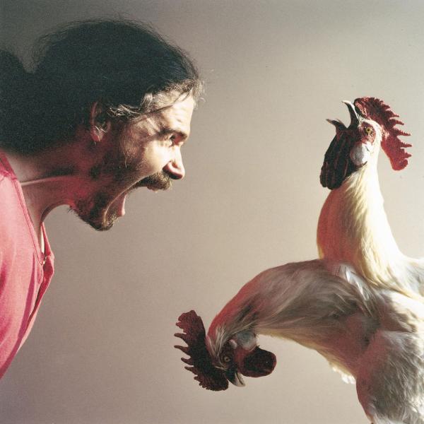 The Chicken's Appeal © Koen Vanmechelen