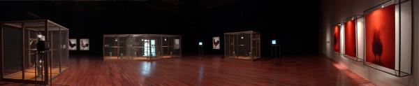 Expo, The Cosmopolitan Chicken - Desire, Vlaams Cultuurhuis De Brakke Grond, Amsterdam (NL) © Koen Vanmechelen 