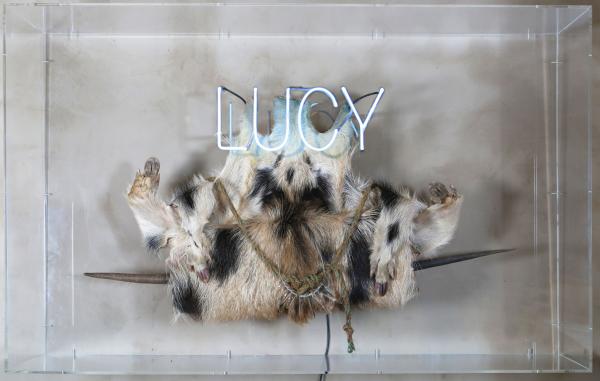 L.O.C.K. LUCY