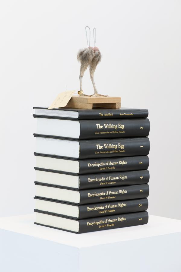 Natural Knowledge, leather bound books, taxidermy chicken feet, 50 x 30 x 20 cm, 2016 © Koen Vanmechelen