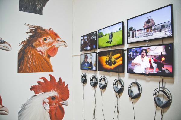 LA BIOMISTA COSMOPOLITAN CHICKEN PROJECT Exo-Evolution, Globale 2015, ZKM | Zentrum für Kunst und Medientechnologie Karlsruhe (DE), © Koen Vanmechelen Expo, LA BIOMISTA COSMOPOLITAN CHICKEN PROJECT Exo-Evolution, Globale 2015, ZKM | Zentrum für Kunst und Medientechnologie Karlsruhe (DE), © Koen Vanmechelen