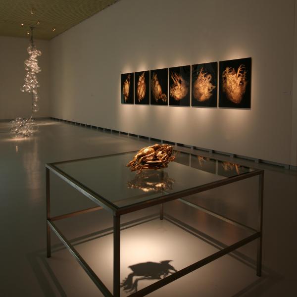 Expo, THE CHICKEN'S APPEAL, Museum Het Valkhof, Nijmegen, (NL) © Koen Vanmechelen