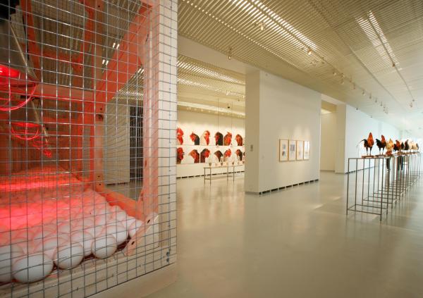 Expo, THE CHICKEN'S APPEAL, Museum Het Valkhof, Nijmegen, (NL) © Koen Vanmechelen