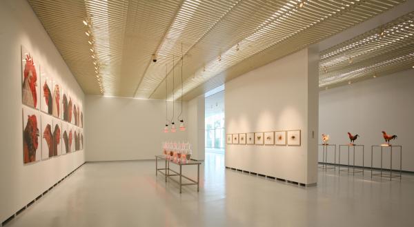 Expo, THE CHICKEN'S APPEAL, Museum Het Valkhof, Nijmegen, (NL) © Koen Vanmechelen