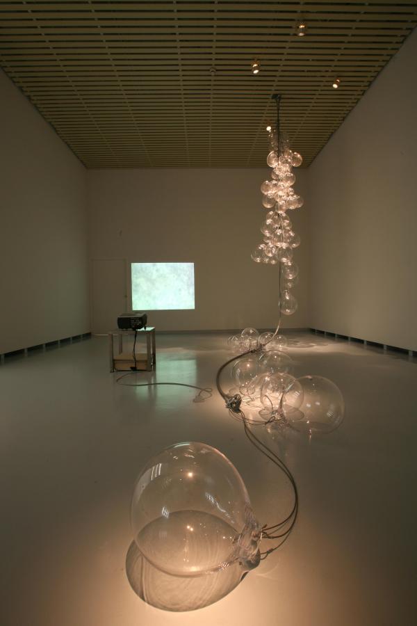 Expo, THE CHICKEN'S APPEAL, Museum Het Valkhof, Nijmegen, (NL) © Koen Vanmechelen