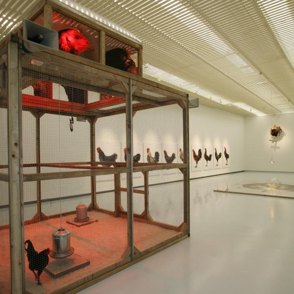 THE CHICKEN'S APPEAL, Museum Het Valkhof, Nijmegen, (NL) © Koen Vanmechelen