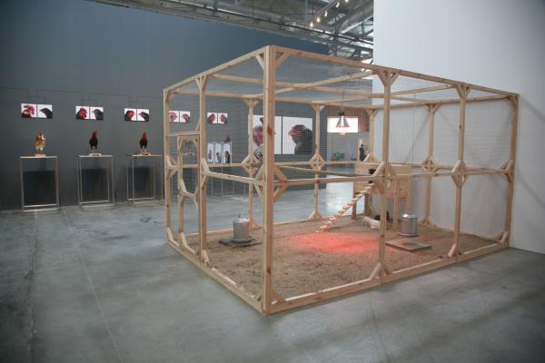 Expo, The Cosmopolitan Chicken Project - Mechelse Orloff, 13th Generation, 3rd Moscow Biennale of contemporary art, Moscow (RU), 2009 © Koen Vanmechelen