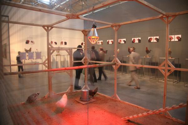 Expo, The Cosmopolitan Chicken Project - Mechelse Orloff, 13th Generation, 3rd Moscow Biennale of contemporary art, Moscow (RU), 2009 © Koen Vanmechelen