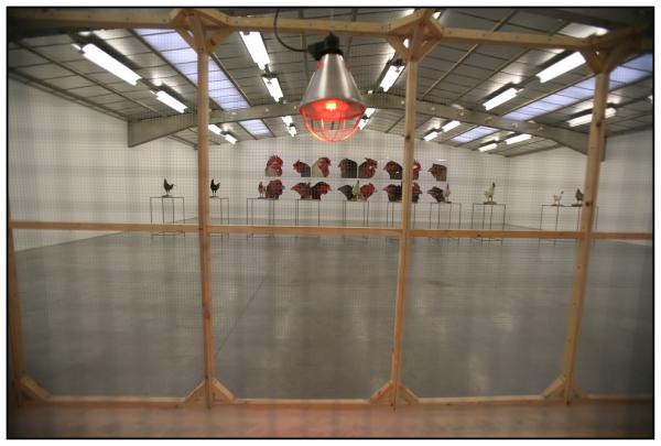 Expo, The Cosmopolitan Chicken Project / Ten generations, Deweer Art Gallery, Otegem, (B)