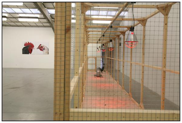 Expo, The Cosmopolitan Chicken Project / Ten generations, Deweer Art Gallery, Otegem, (B)