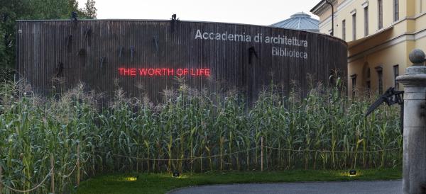 The Worth of Life © Koen Vanmechelen. Photo ©PhotoEnricoCano