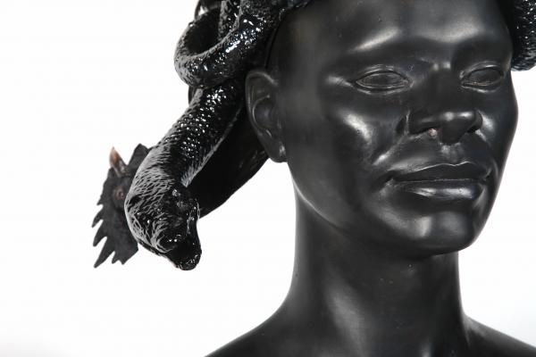Medusa © Koen Vanmechelen Medusa © Koen Vanmechelen