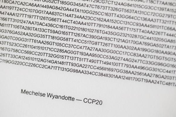 Book of Genomes © Koen Vanmechelen, photo Kristof Vrancken