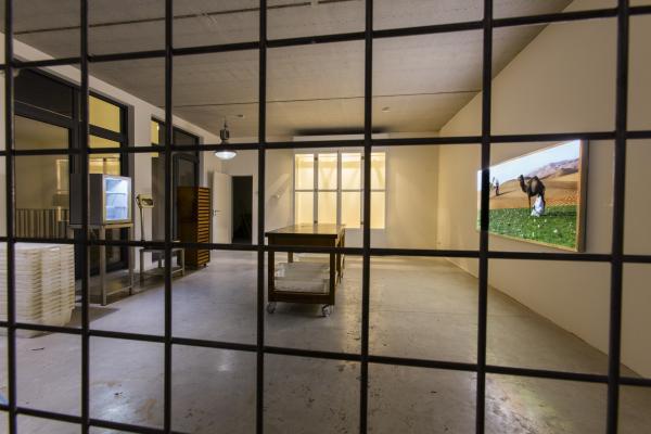 Awakener, Wilford X © Koen Vanmechelen, photo Alex Deyaert