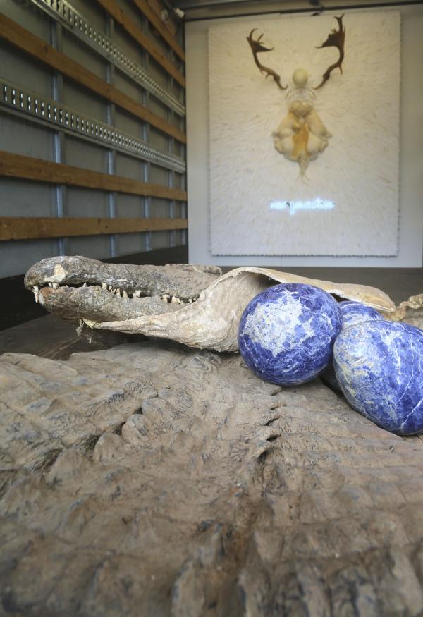 Evolution of a Hybrid © Koen Vanmechelen, 2020