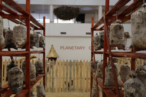 Planetary Community Chicken, National Gallery of Zimbabwe © Koen Vanmechelen