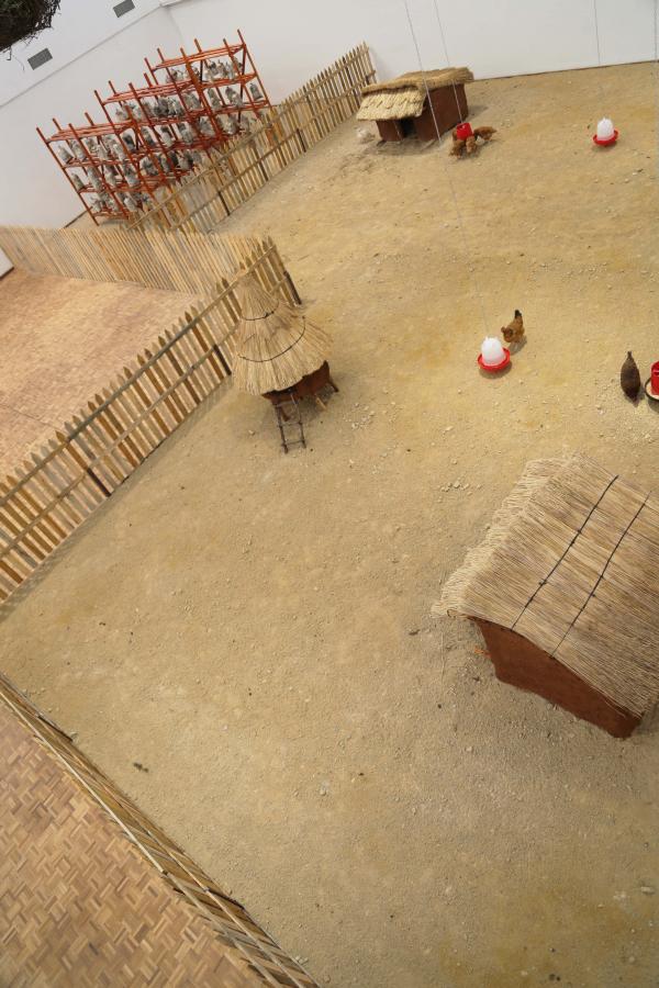 Planetary Community Chicken, National Gallery of Zimbabwe © Koen Vanmechelen