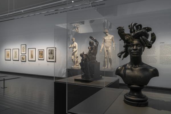 Medusa, Inspiration, Ateneum, Finland, 2020 © Koen Vanmechelen, photo by Hannu Pakarinen