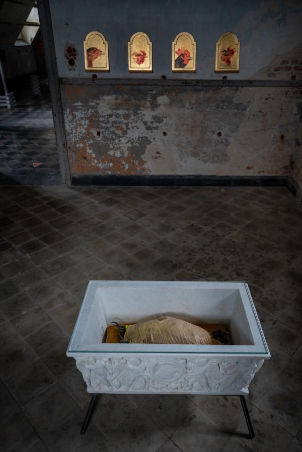 Mirrors of Time, Oud-Rekem, Between Jungle and Civilization © Koen Vanmechelen, photo Kris Vervaeke