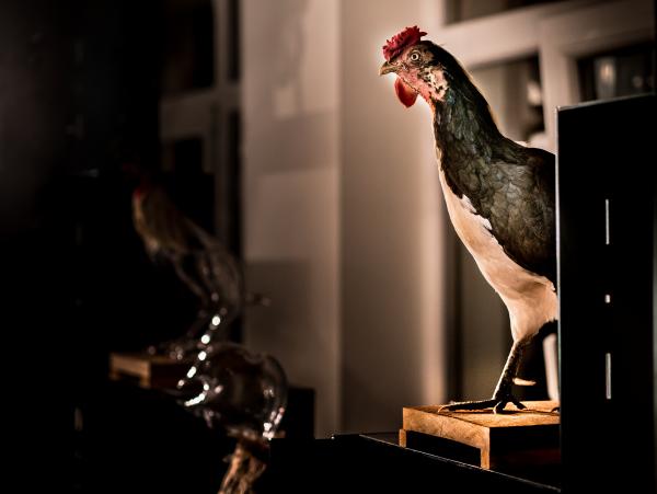 Do Not Argue, Louise Gallery, Durbuy (BE) © Koen Vanmechelen, 2020, Photo Charles Ruys Do Not Argue, Louise Gallery, Durbuy (BE) © Koen Vanmechelen, 2020, Photo Charles Ruys