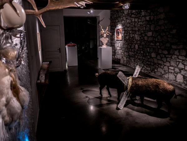 Do Not Argue, Louise Gallery, Durbuy (BE) © Koen Vanmechelen, 2020, Photo Charles Ruys Do Not Argue, Louise Gallery, Durbuy (BE) © Koen Vanmechelen, 2020, Photo Charles Ruys