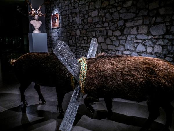 Do Not Argue, Louise Gallery, Durbuy (BE) © Koen Vanmechelen, 2020, Photo Charles Ruys Do Not Argue, Louise Gallery, Durbuy (BE) © Koen Vanmechelen, 2020, Photo Charles Ruys