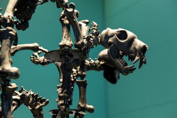 Ai Weiwei, Black Chandelier in Murano Glass (detail), GLASSTRESS, State Hermitage, Russia, 2021, photo by Svetlana Ragina