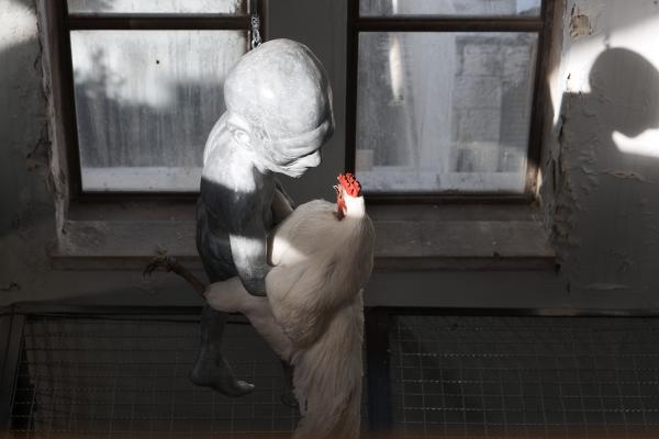 Crossquery, The Jerusalem Biennale, 2021 © Koen Vanmechelen, photo Dor Kedmi
