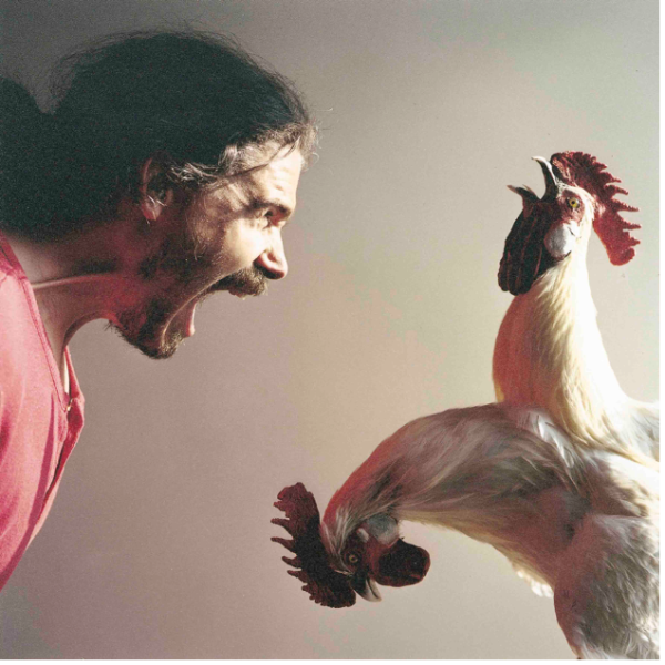 The Chickens Appeal
