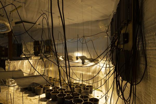 Alex Hartley, Watou Grow Room Alex Hartley, Watou Grow Room