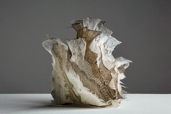Dolores GOSSYE. La Luz, 2014. Collection de l'artiste. ©Barthélémy Decobecq.jpg