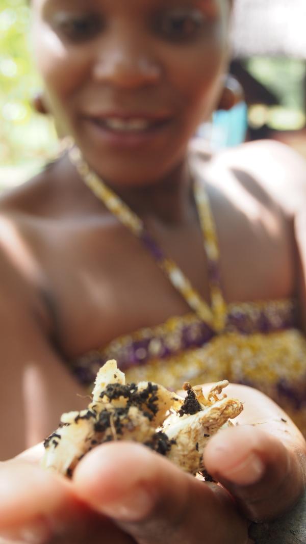 Champignons kweken met Chido Govera