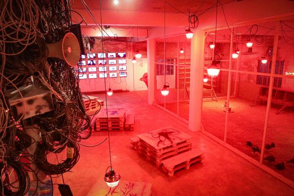 Dream of Human Nature © Koen Vanmechelen x Brihatta Art Foundation