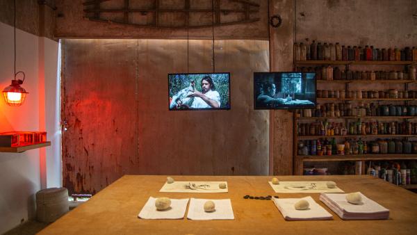 Dream of Human Nature © Koen Vanmechelen x Brihatta Art Foundation
