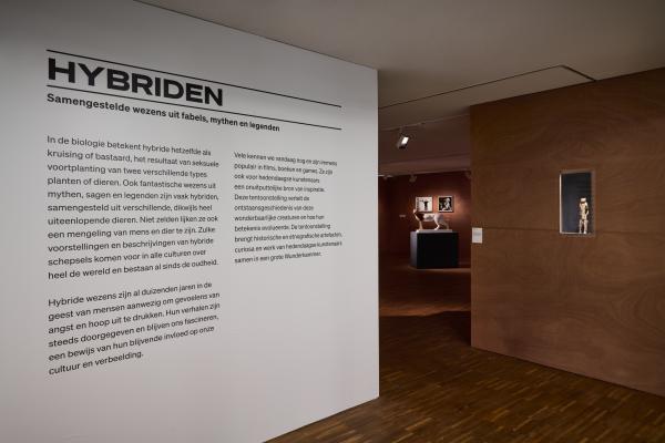 Hybrids, De Warande © WeDocumentArt Hybrids, De Warande © WeDocumentArt
