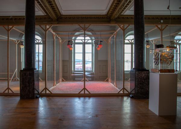 Cosmopolitan Chicken Project, Koen Vanmechelen 