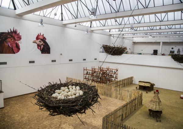 Installation view, Planetary Community Chicken, Zimbabwe, Koen Vanmechelen