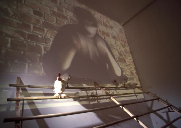 Expo In de ban van de ring Hasselt 1999