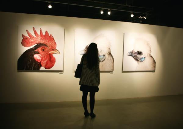Expo, Cosmopolitan Chicken Project - 14th Generation: Mechelse Silkie, World Expo 2010 Shanghai, Zendai Museum of Modern Art, Shanghai (CN), 2010 © Koen Vanmechelen