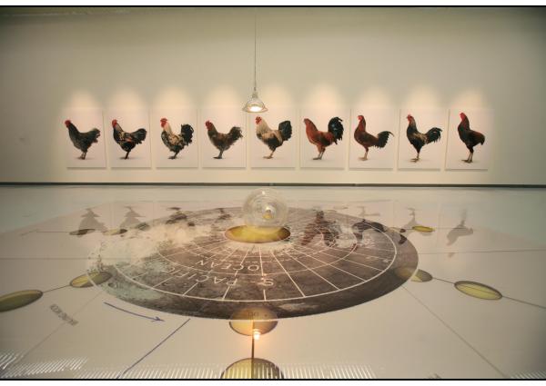 THE CHICKEN'S APPEAL, Museum Het Valkhof, Nijmegen, (NL) © Koen Vanmechelen
