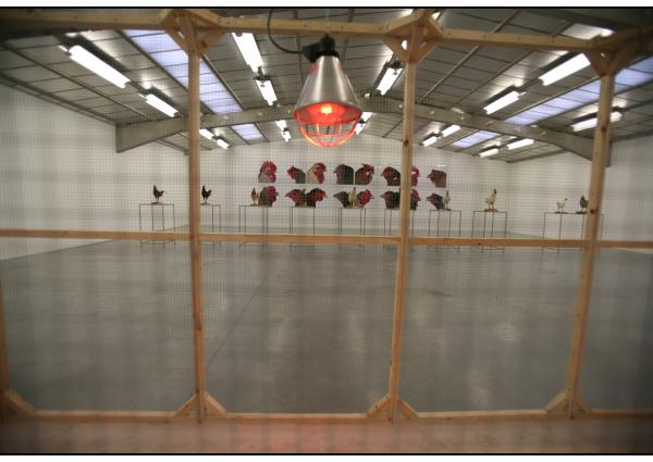 Expo, The Cosmopolitan Chicken Project / Ten generations, Deweer Art GAllery, Otegem, (B)