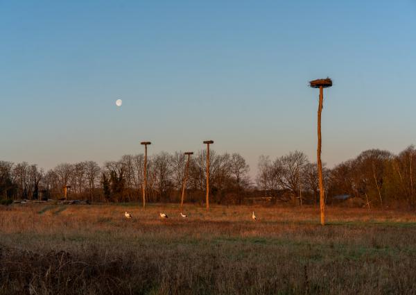 LaMouseion_Photo_KrisVervaeke.jpg