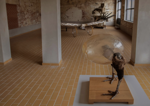 The Walking Egg © Koen Vanmechelen, photo by © Michaël Depestele
