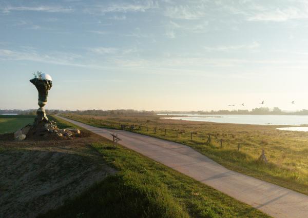 Future Fossil © Koen Vanmechelen, photo by Lieven Geuns