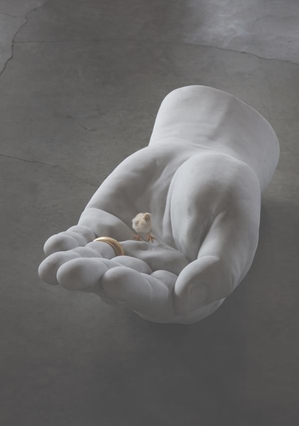 Generosity © Koen Vanmechelen.jpg